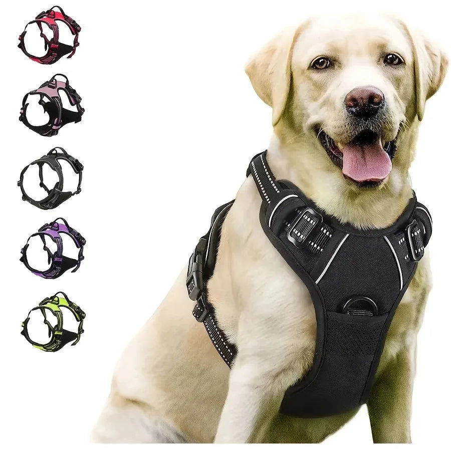 EasyWalk No-Pull Harness — Stress-Free Walks for You Both