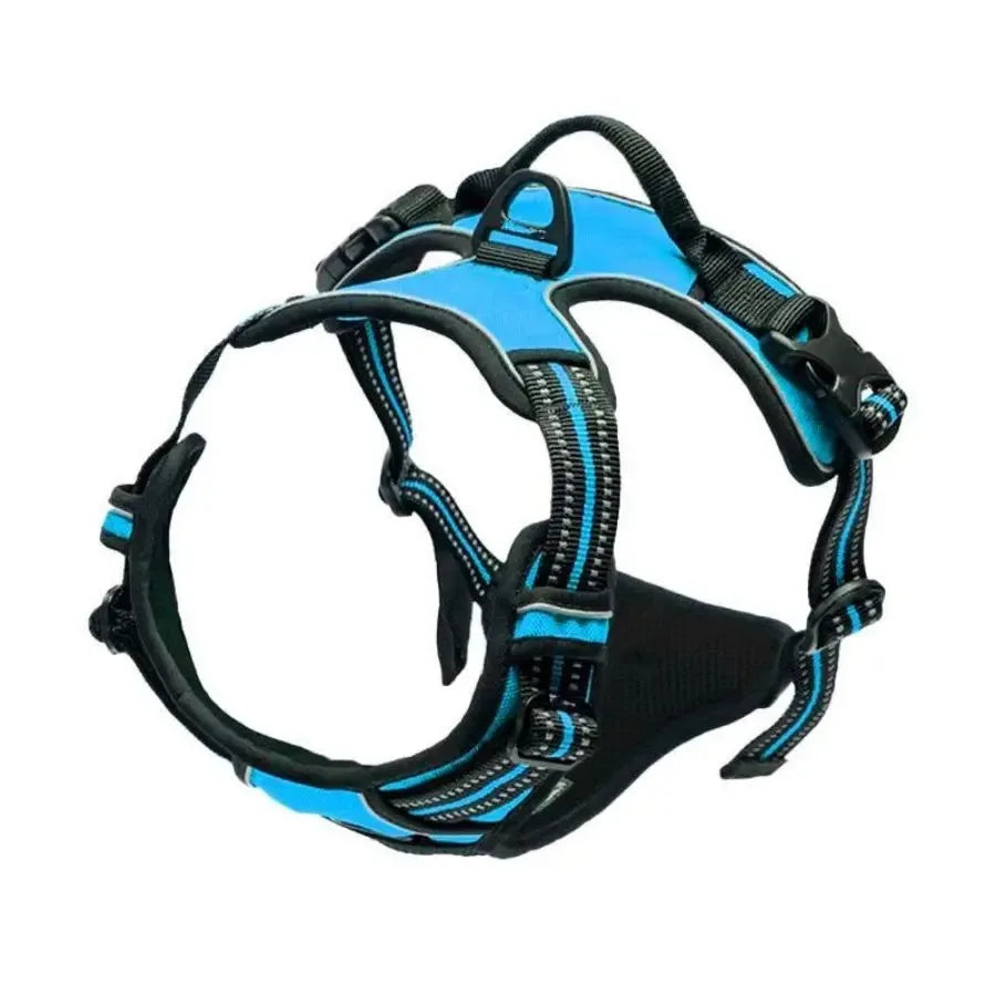 EasyWalk No-Pull Harness — Stress-Free Walks for You Both