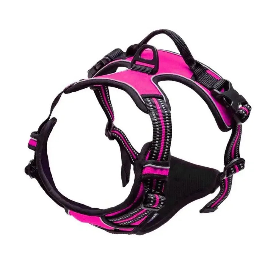 EasyWalk No-Pull Harness — Stress-Free Walks for You Both