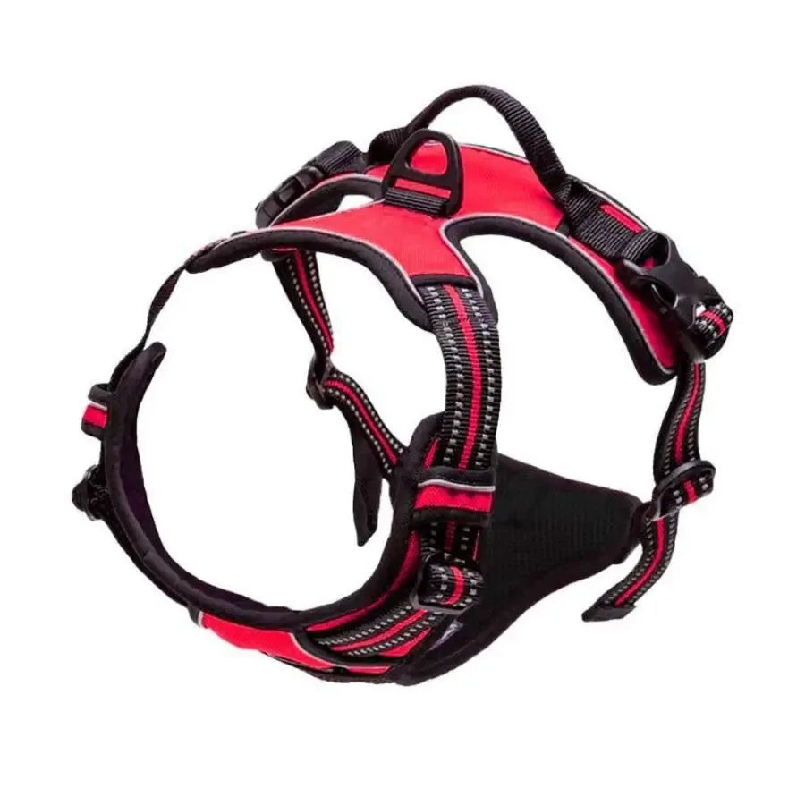 EasyWalk No-Pull Harness — Stress-Free Walks for You Both
