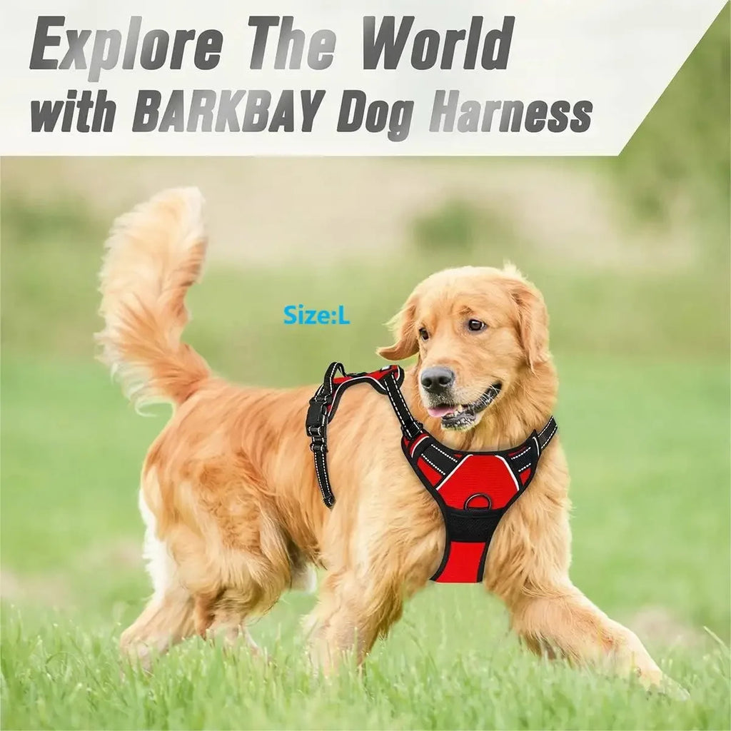 EasyWalk No-Pull Harness — Stress-Free Walks for You Both