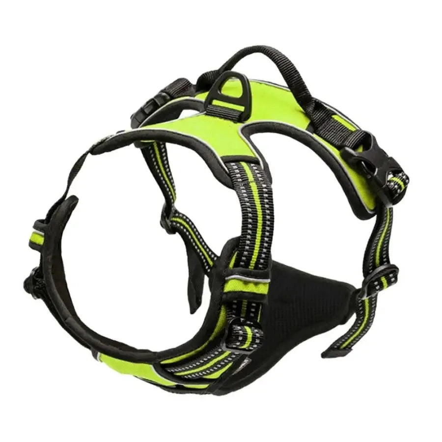 EasyWalk No-Pull Harness — Stress-Free Walks for You Both