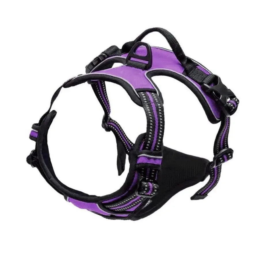 EasyWalk No-Pull Harness — Stress-Free Walks for You Both