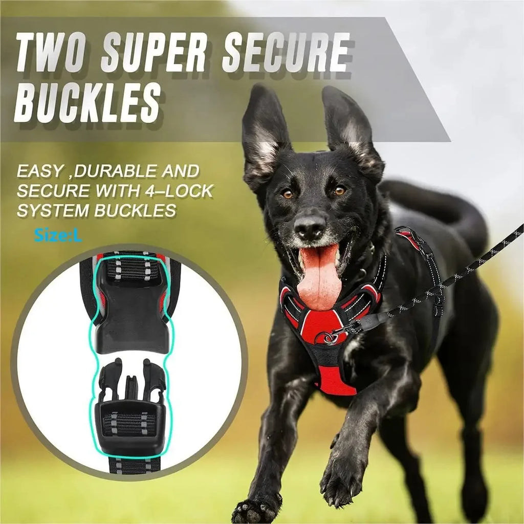 EasyWalk No-Pull Harness — Stress-Free Walks for You Both