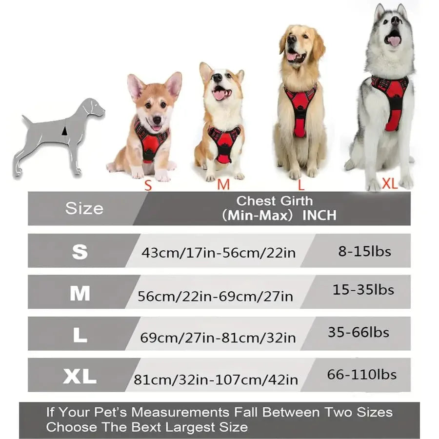 EasyWalk No-Pull Harness — Stress-Free Walks for You Both