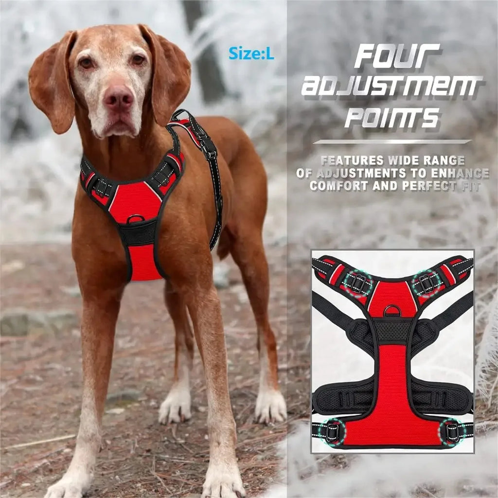 EasyWalk No-Pull Harness — Stress-Free Walks for You Both