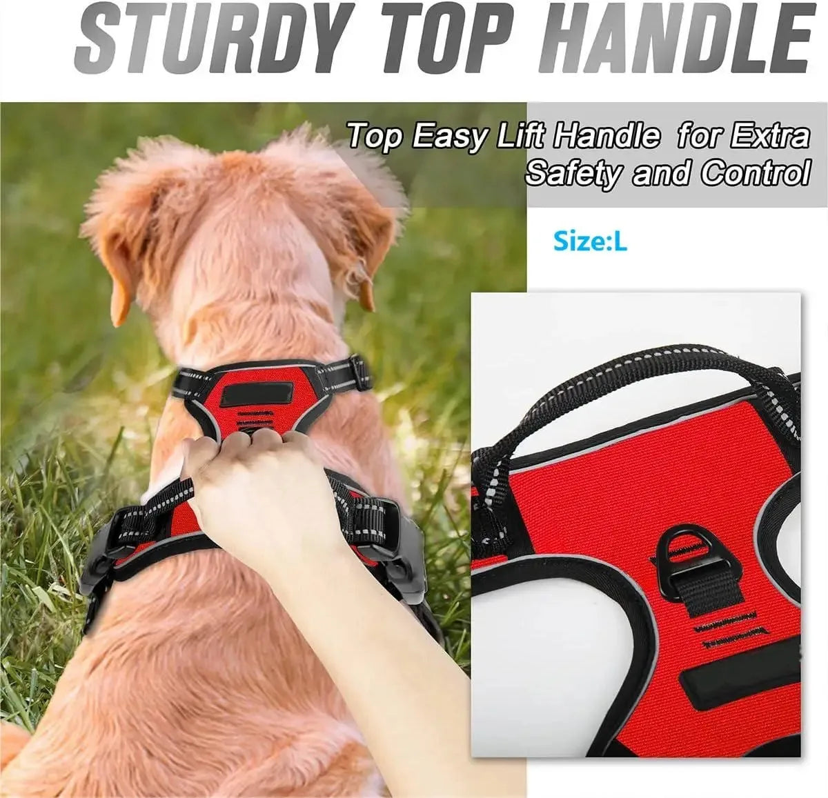 EasyWalk No-Pull Harness — Stress-Free Walks for You Both