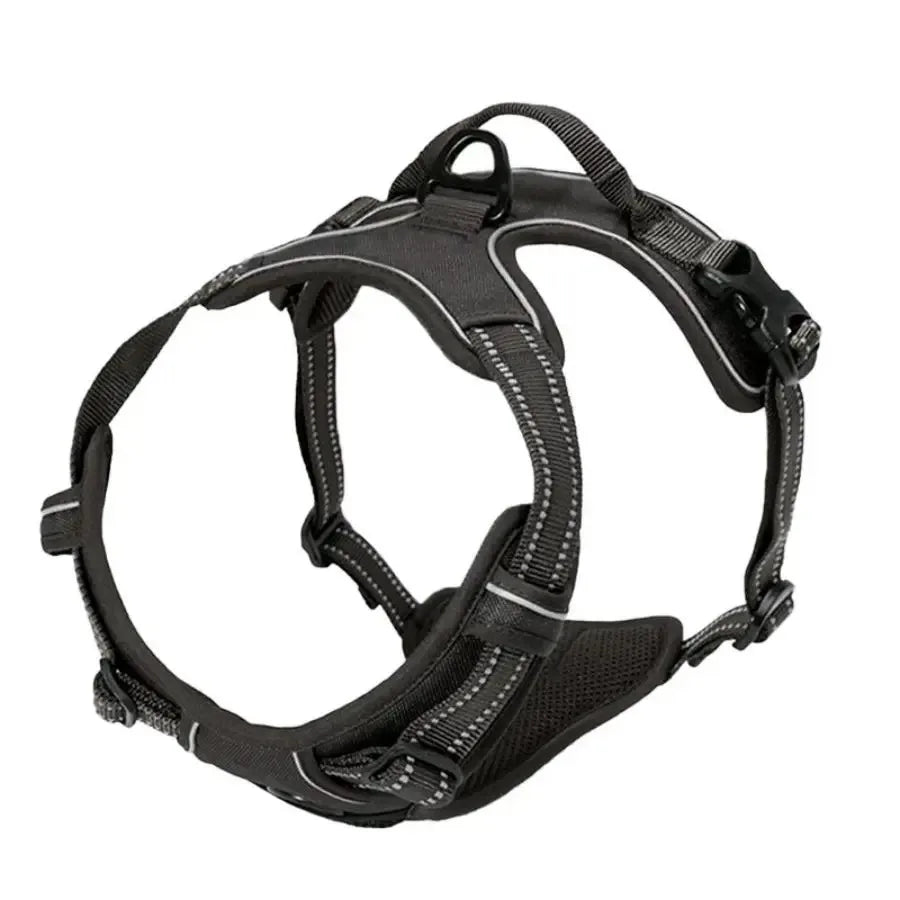 EasyWalk No-Pull Harness — Stress-Free Walks for You Both